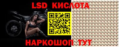a pvp Свободный