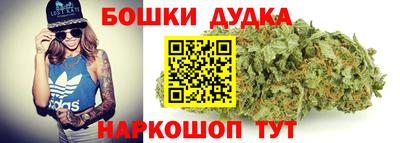 a pvp Свободный
