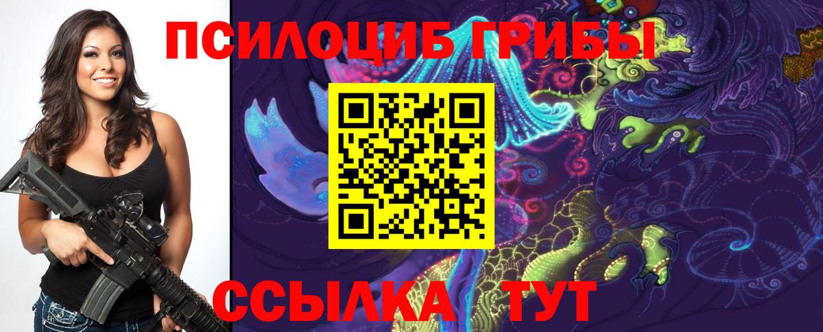 Симферополь  Галлюциногенные грибы Psilocybe  Галлюциногенные грибы Psilocybe  Вход с VPN 